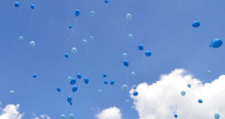 click photos at bottom to view more of our portfolio